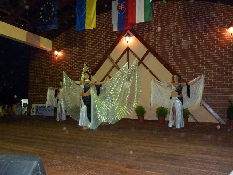Festival národnosti 2011